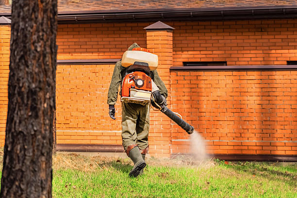 Trusted Cockroach Control service in Neptune Beach, FL - Nex Pest Control